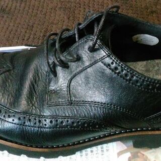 ROCKPORT ウイングチップの画像