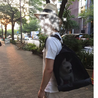 《値下げしました》大きめのペットリュック 犬猫