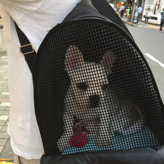 《値下げしました》大きめのペットリュック 犬猫の画像