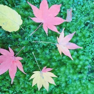 人生を楽しくする教室