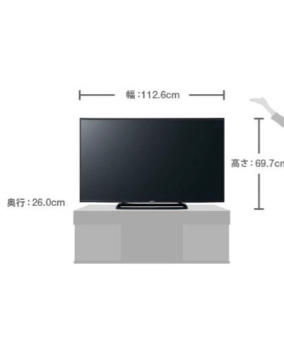 10月限定　Panasonic VIERA  TH50C305