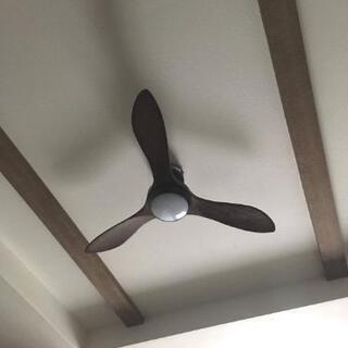 シーリングファンライト
