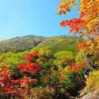 40代 毎月、週末ゆるゆる山歩きハイキング - 北区