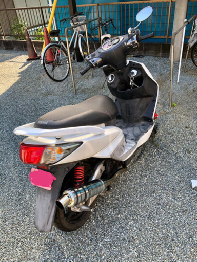 シグナス 台湾５期