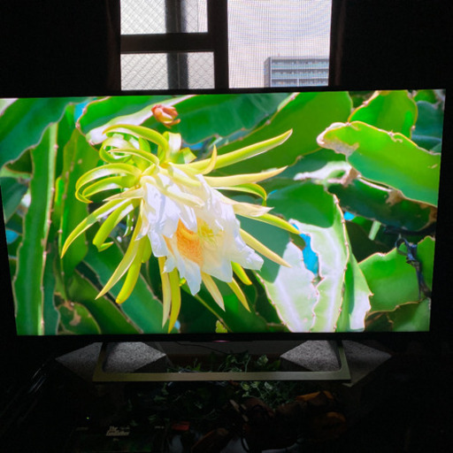 SONY BRAVIA 4K HDR対応液晶テレビ　KJ-43X8000E(B)