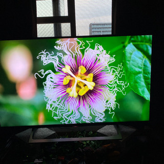 SONY BRAVIA 4K HDR対応液晶テレビ KJ-43X8000E(B)