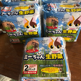 ねこの草