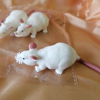 白ネズミのおもちゃの画像