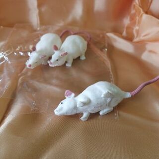 白ネズミのおもちゃ