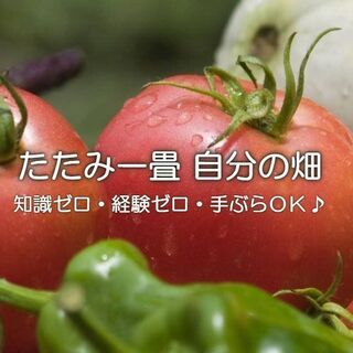 完全無料！「プチ農業体験会」＆「さつまいも収穫体験」のお知らせです。