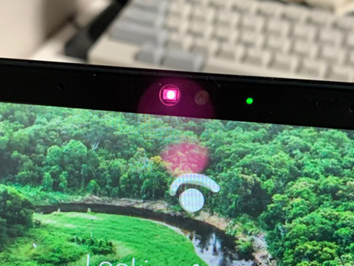 Razer blade Stealth 13 2020 US version