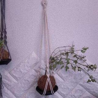 プランツハンガー　ハンギング　観葉植物　植物　多肉植物　苔玉　k...