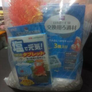 金魚、メダカ用品🐠