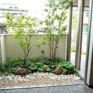 造園スタッフ募集、未経験、見習い、経験者も可　の画像