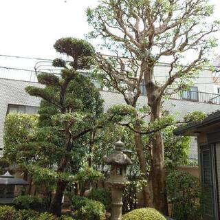 造園スタッフ募集、未経験、見習い、経験者も可　の画像