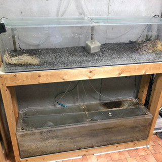 譲り先決定しました。120cmアクリル水槽２本セット台付き