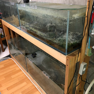 譲り先決まりました！コトブキ90cm水槽4本台付きであげますの画像