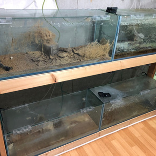 譲り先決まりました！コトブキ90cm水槽4本台付きであげます