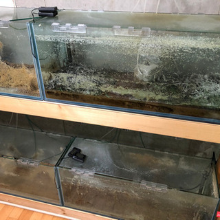 譲り先決まりました！コトブキ90cm水槽4本台付きであげますの画像