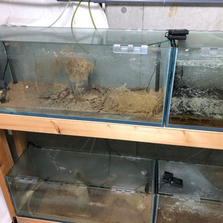 譲り先決まりました！コトブキ90cm水槽4本台付きであげますの画像