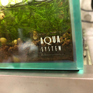 譲り先決まりました！60センチ水槽台付き2本セットの画像