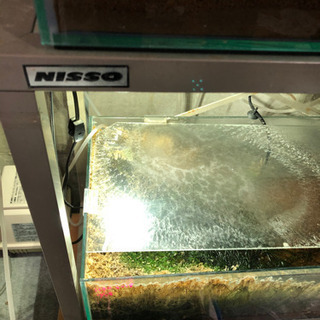 譲り先決まりました！60センチ水槽台付き2本セットの画像