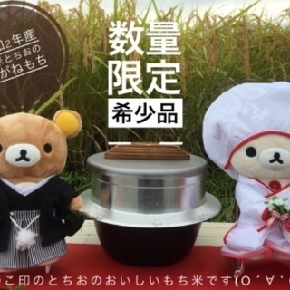 新潟とちお産こがねもち 精米5kg 特別栽培米 低温乾燥 おいし...