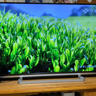 テレビ50インチTOSHIBA REGZA