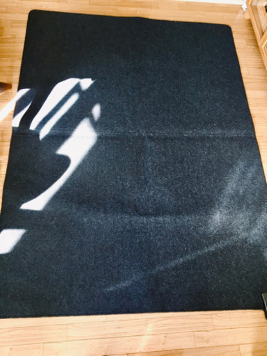 無印良品　ホットカーペット