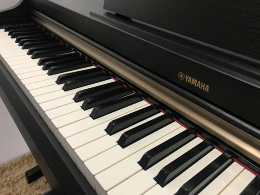 【完売しました】YAMAHA アリウス《YDP162》