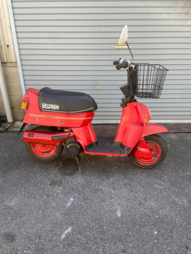 スカッシュ！バッテリー新品！