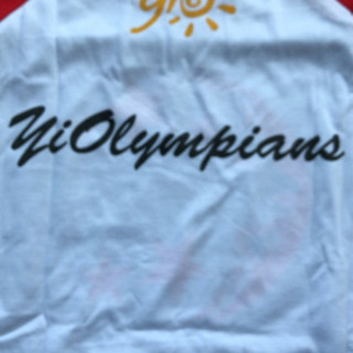 新品　シンガポール　singapore Tシャツ　ほかにもありの画像