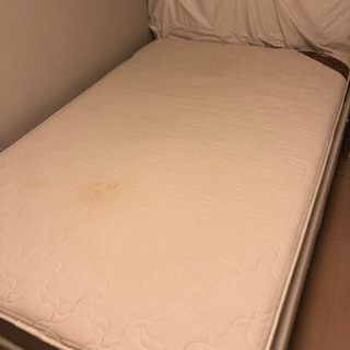 セミダブルペットのマットを無料で差し上げます。