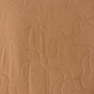 セミダブルペットのマットを無料で差し上げます。の画像