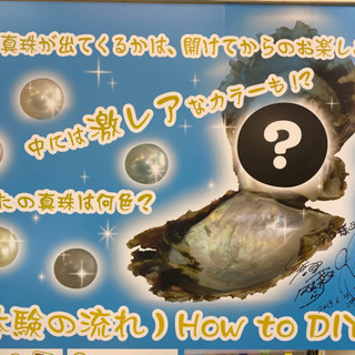 【時給900円】真珠たまだし体験イベントスタッフ募集！！の画像