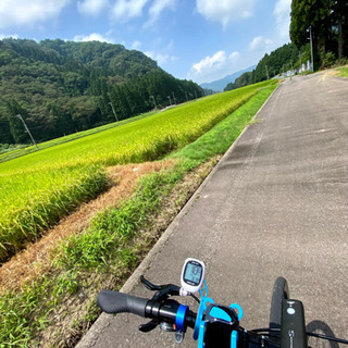 自転車でお散歩しませんか？