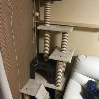キャットタワー