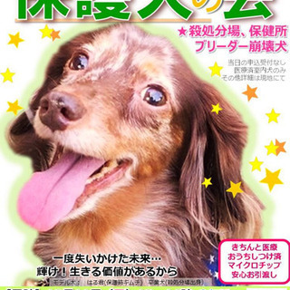 保護犬の会@清水