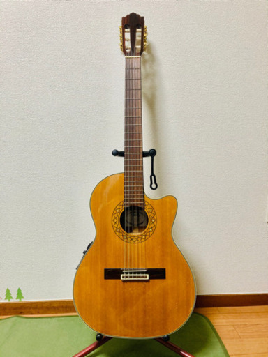 ◆HEADWAY ガットギター　専用セミハードケース付き◆【ガットギター、クラシックギター、弾きやすい】