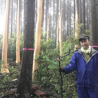 森を作ろう！「きらめ樹」の準備を行います