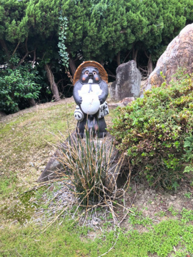 たぬき　狸　置物