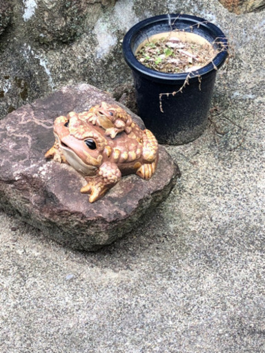 カエル　蛙　おきもの