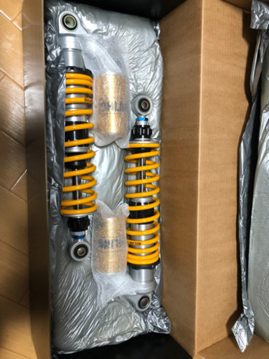 オーリンズリアサス