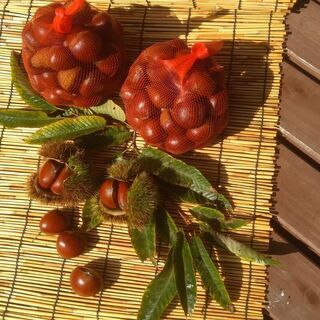 地元県産鮮度と味一番！今週末は秋の味覚「栗」を我が家で存分に味わ...