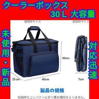 クーラーボックス 大容量 30L 小窓付き 折りたたみ 手持ち ...