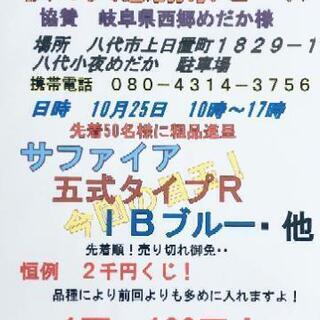 10月25日(日)　八代小夜めだか秋の大感謝❕