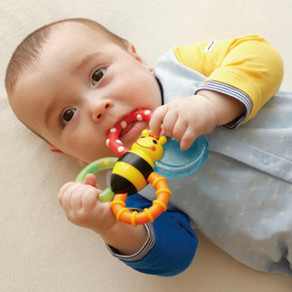 赤ちゃん ベビー用品 おもちゃ sassy 歯固め バンブル バイツ ファン ラトル ガラガラの画像