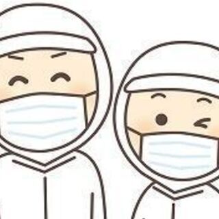 短期 せんべい類の製造・選別