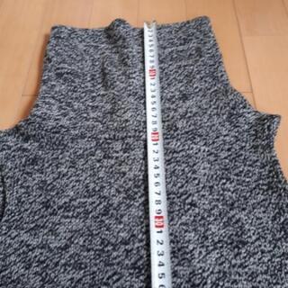 タートルベストの画像