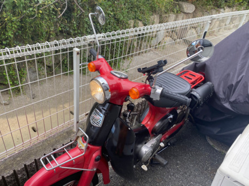 リトルカブ　赤黒　人気　値下げ